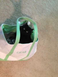 Baxter wants to join the crew on the Boat!